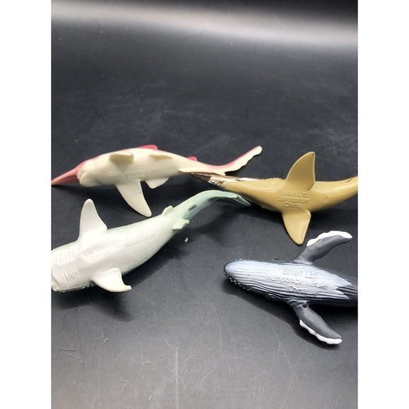 SAFARI LTD LOT OF 4 Whale TOYS FIGURES Whale Shark, Humpback, Scapa & Sarcoprion - Picture 4 of 5